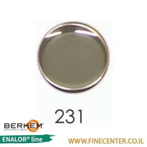 אמייל שקוף אפור 231 - בקבוק 250 גרם BERKEM ENALOR