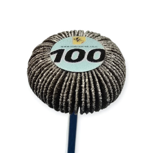 מברשת בד שמיר - GR 100 - דיסק מעוגל D20 * 12 על ציר