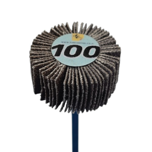 מברשת בד שמיר - GR 100 - דיסק ( גלגל ) D21 * 11 על ציר
